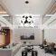 Home hotel decor pendant lamp