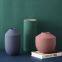 Fashion Frosted Textures Nordic Style Hotel Ornament Color Ceramic Vase For Showroom