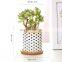 New Geometric Black and White Succulent Flower Pot Ceramic Straight Flower Pot