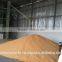 Yellow Corn for Animal Feed