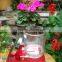 330ml Cylinder Glass Candle Houdler Can Coating Custom With Metal Lids