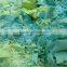 AAA Grade foam scrap hot selling in UAE