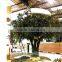 200cm Large Artificial Apple Tree,outdoor Plastic Fake Apple Tree