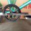 Lionhero Small Cute 20 Inch Road Racing Mountain Bike