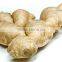 Chinese Fresh Ginger with good quality for sale