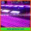 Good quality 2 years warranty tls3001 IC controlled club led strip light