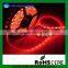 Holiday Light 4M IP65 60 Pixels/m 240 5050 RGB WS2812B LED Digital Strip DC5V & DMX Controller