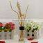 NS Nature Scents 100ML reed diffuser (aroma diffuser)