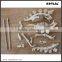 Educational toy Tyrannosaurus skeleton dinosaur fossils for kid