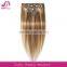 Best Real Human Hair Clip On Extensions