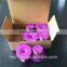 6-Pack Custom K cup Gold Mesh Coffee Filter With SGS Certification, Samples Available