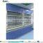 Electro-Galvanized Steel Fabrication Chemical Fume Hood With Fume Scrubber