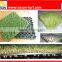 Artificial Turf Interlocking Tile