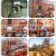 2016 Popular Type Mining Machine Small Crusher Stone