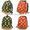 new fashion colorful backpack for 13',15',17' mac book, ipad, iphone, backpack bag