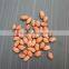 RED SKIN BOLD PEANUT / GROUNDNUT KERNEL 38/42