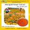 Supply 100% Natural Marigold P.E. GMP Manufacturer Lutein, zeaxanthin