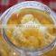 Garlic Paste
