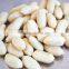 Shandong good quality blanched peanut kernel/peanut in shell