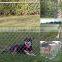 Factory High quality galvanized chain link fence prices