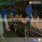 Stainless Steel Whole Machine and Equipment For Pig Slaughterhouse and Slaughtering Line