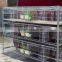 Galvanized rabbit cage from dircet factory