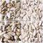 China export wholesale white sunflower seeds color sorter machine