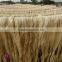 most competitive price! nature jute fiber/bleaching jute fiber/raw jute fiber/Jute Cut Fiber