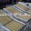 ESD plastic sliding roller track for carrying and flow rack