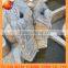 garden decoration granite water fountain with rose