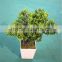 Home garden decoration 50cm to 160 cm hight small indoor canadian artificial green pot plastic similar pine trees ELSPZ02 0901