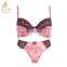 Mesh Lace print underwear ladies sexy panty and bra sets OEM Design