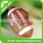 Leather or pu rugby ball with American football customize design
