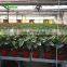 Native Garden Nursery Commercial Greenhouse Heating Systems Supplies