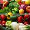 Industrial Automatic Vegetable Washing Machines Fruit Washer
