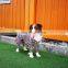 HOT SALE Large Dog Clothes Dog Rain Coat Dog Rain Jackets Waterproof Reflective
