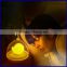 China Factory Supplier 0.5w Led Bird Cage Lamp Night Light For Bedroom SNL087