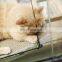 New Design Hanging Corrugated Paper Scratches Post Mounted Cute Bed Cat Window Hammock
