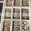 Good quality  BQF frozen small size squid for bait