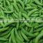 Manufacturer and Exporter of IQF Frozen Sweet Sugar Snap Pea