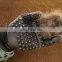 Horses Dogs Cats Shedding Bathing Pet Grooming Glove