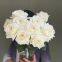 China Supply Long Stem Fresh Roses Natural Bulk Flowers Fresh Cut Roses From China 20pcs/bundle