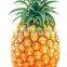 Pineapple Peeling Machine Skiving Machine peeler industrial machine