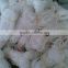 Chinese factory manufacturer HDPE white yam climbing net
