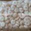 Frozen Vannamei Shrimp