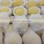 EPE colorful fruit and vegetable packaging foam nets