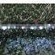 6 piece set solar led landscape path light for garden