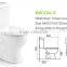 Washdown floor outlet 250 mm ceramic toilet pot