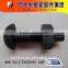 Hot 10.9 high strength bolt nut