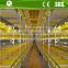 Automatic battery poultry chicken cage for meat broilers